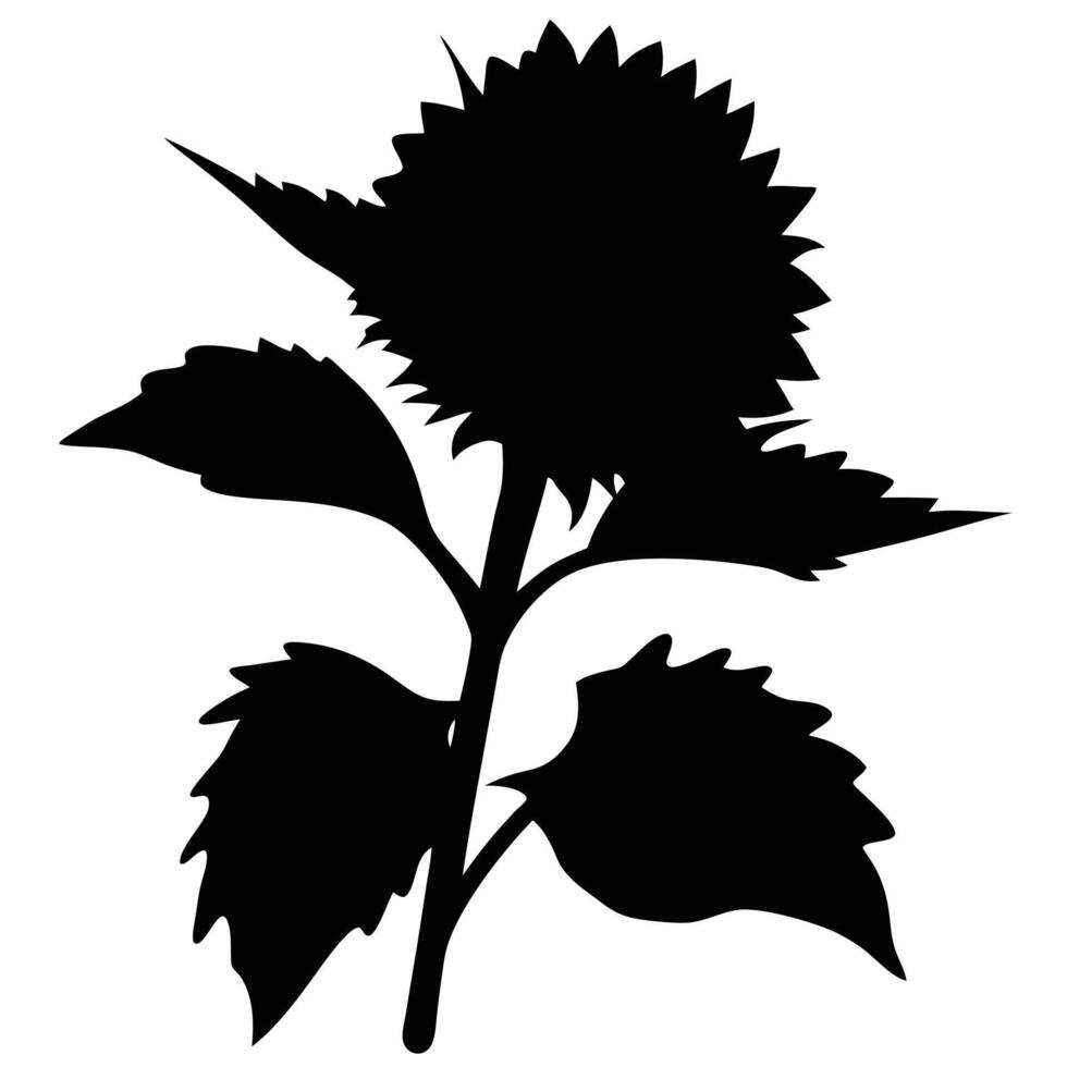 Black Silhouette Illustration Of Thistle Flower And Leaves On A White Background vector