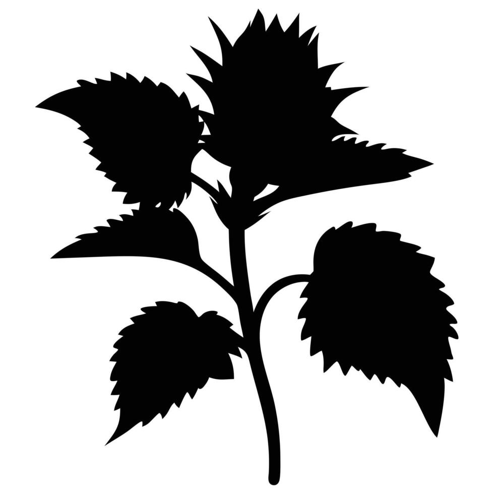 Abstract Silhouette Of Prickly Plant With Serrated Leaves On White Background vector