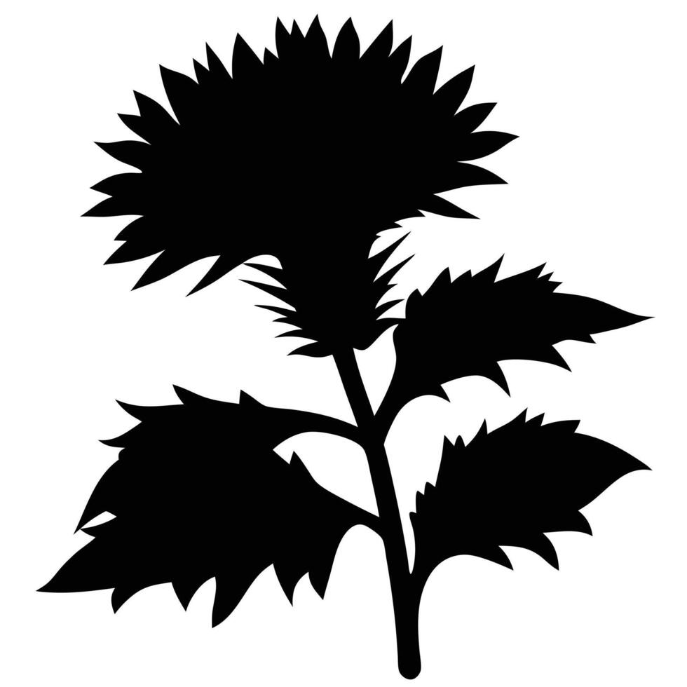 Artistic Flower Silhouette Of A Thistle Plant Botanical Design Element vector