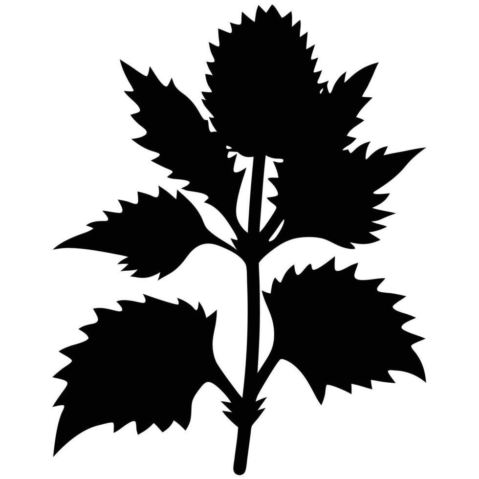 Nettle Plant Silhouette Illustration Of A Medicinal Herb Isolated On White vector