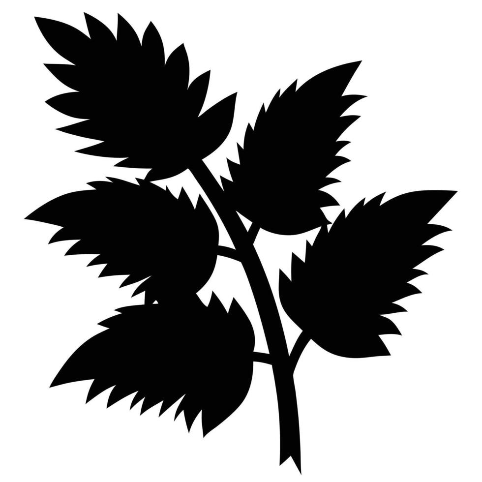 Black Silhouette Branch With Jagged Leaves Isolated On White Background vector