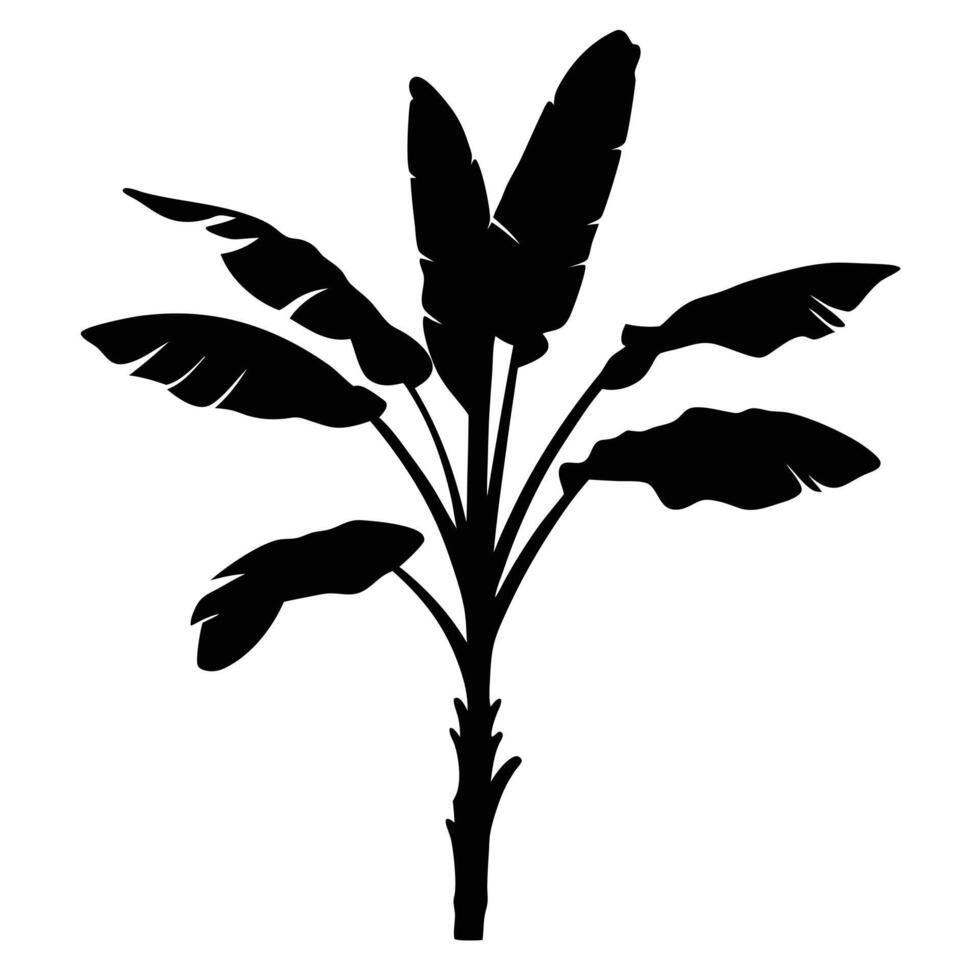 Banana Plant Silhouette Tropical Leaves Exotic Botanical Illustration Design Element vector
