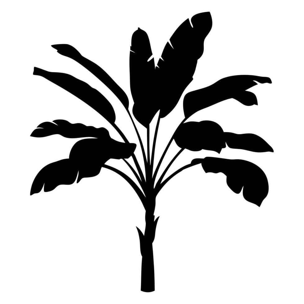 Exotic Banana Tree Silhouette Tropical Foliage Illustration Graphic Element vector
