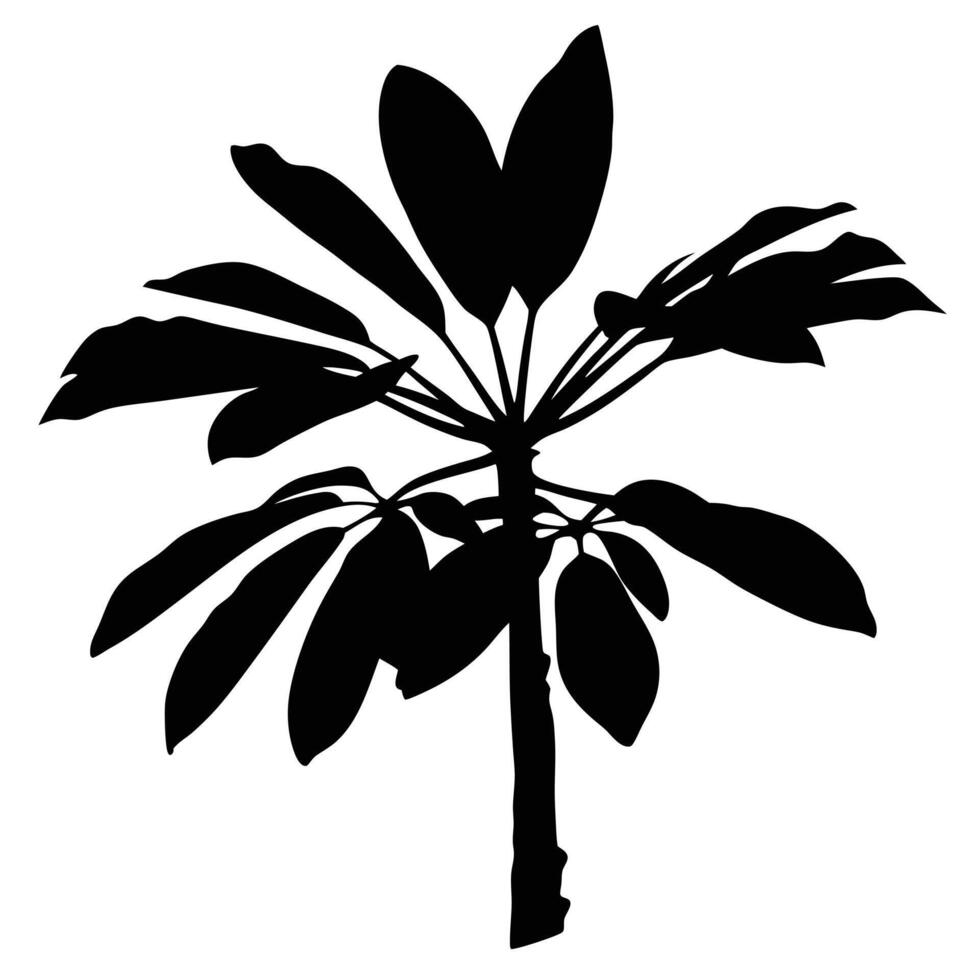 Minimalistic Silhouette Of A Schefflera Plant With Bold Black And White Contrast vector