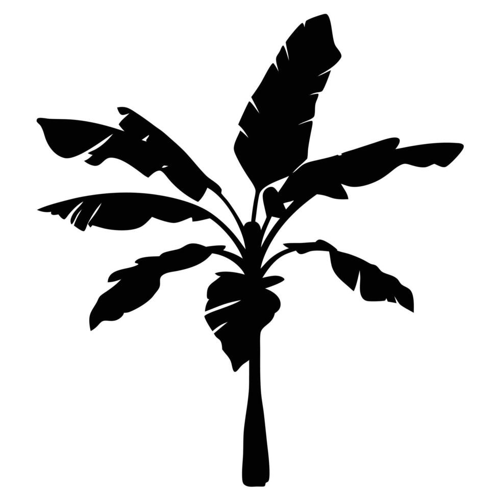 Black Silhouette Of A Banana Tree With Big Leaves On White Background vector