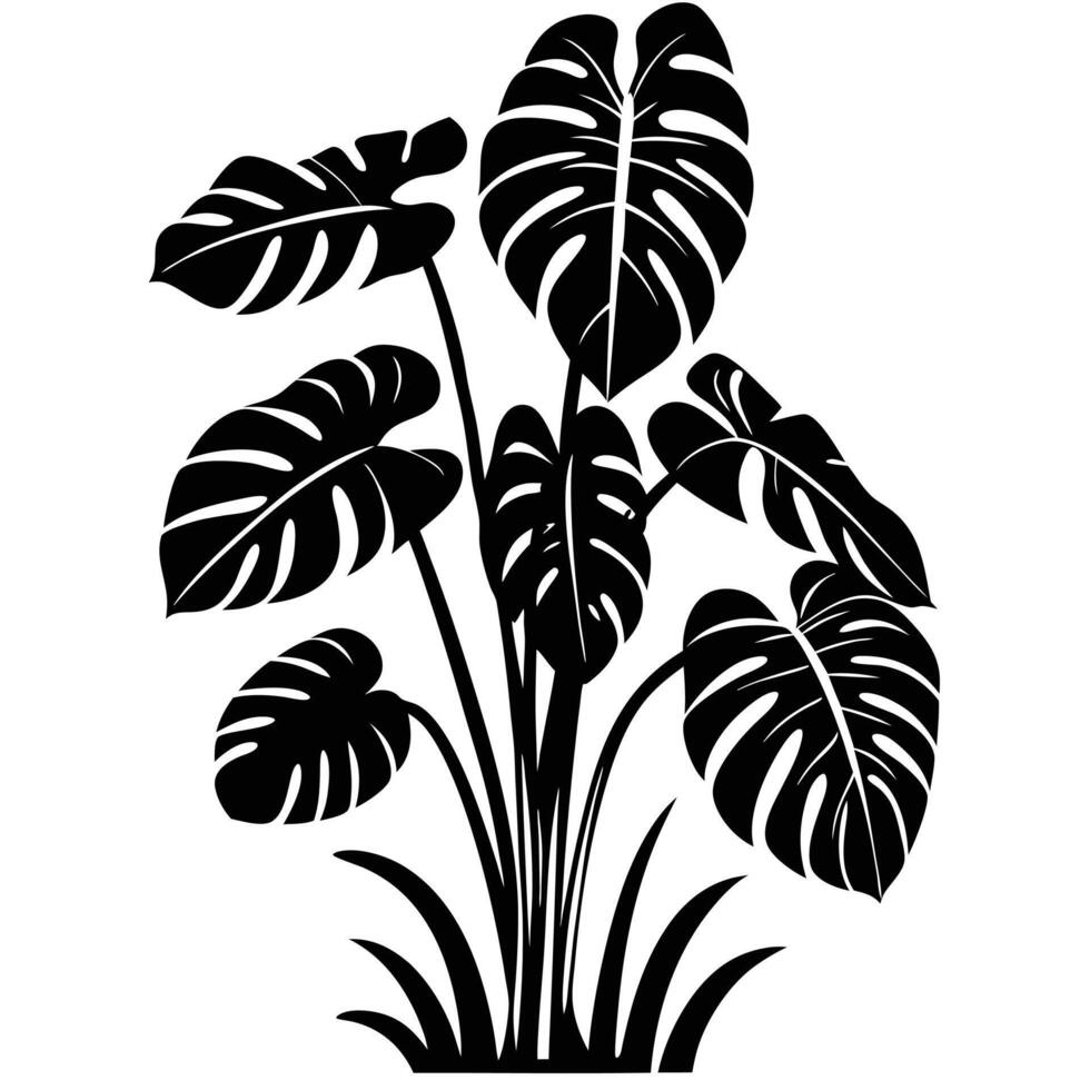 Black And White Monstera Plant Graphic Tropical Foliage Illustration vector