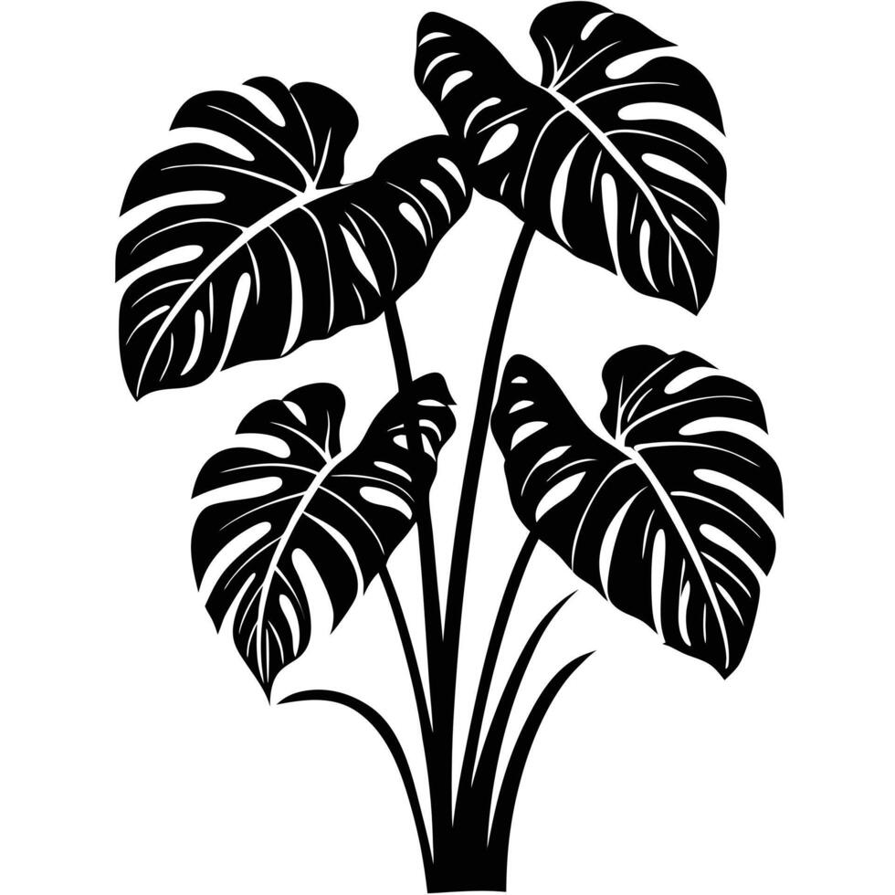 Black Silhouette Of Monstera Plant With Detailed Leaf Veins On White Background vector