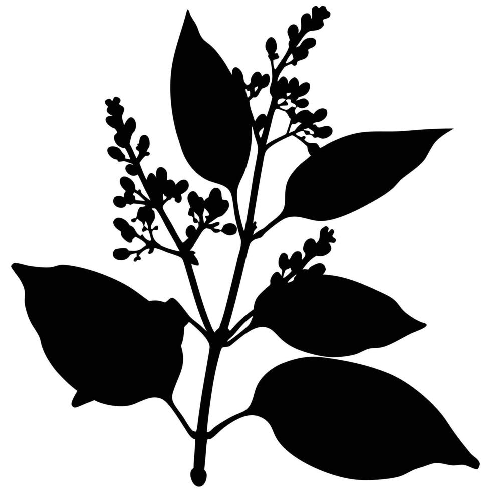 Elegant Black Silhouette Of Plant Branch With Leaves And Berries vector