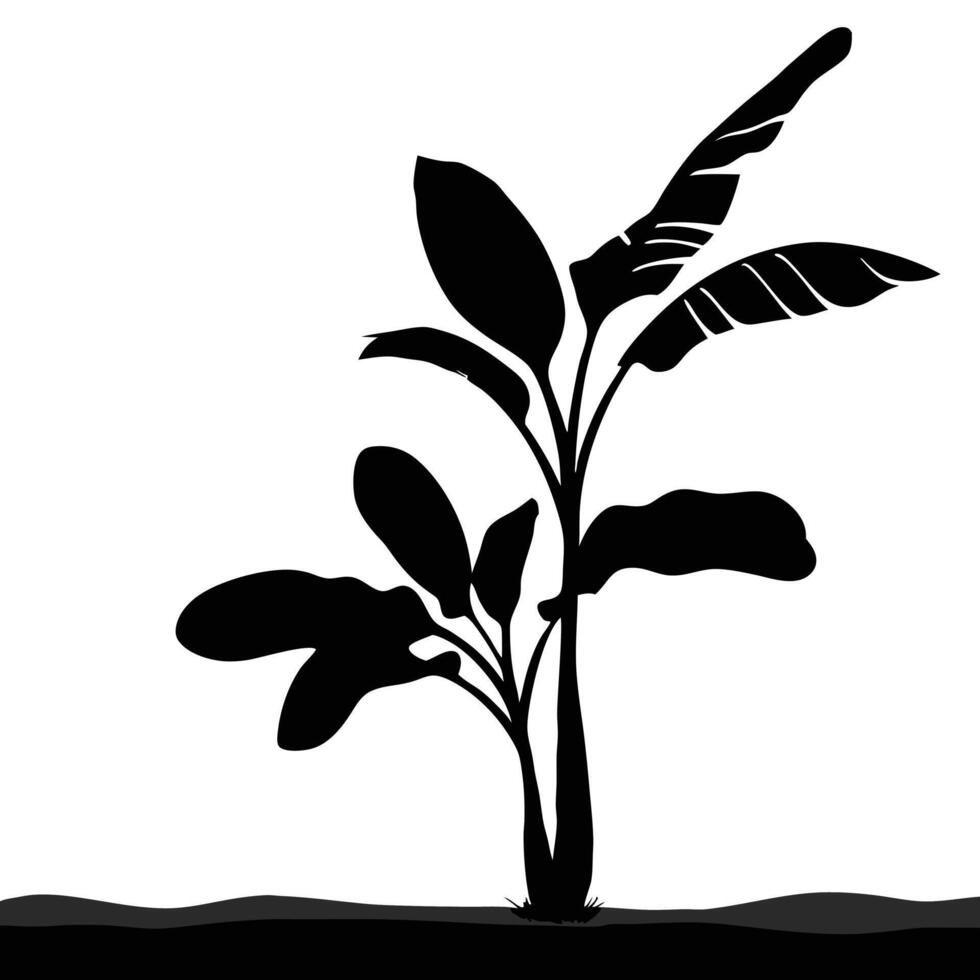 Black Silhouette Illustration Of A Banana Tree With Leaves On Land vector