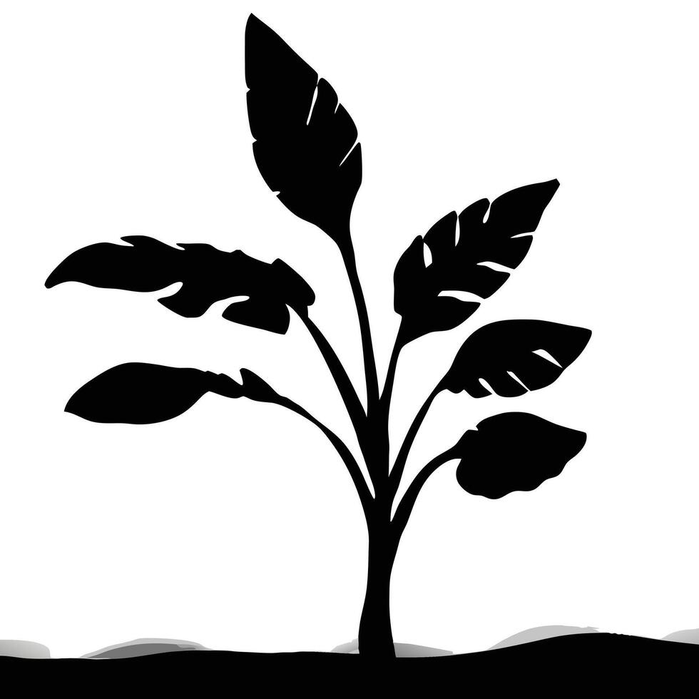 Striking Black Silhouette Illustration Of A Tropical Plant On Neutral Background vector