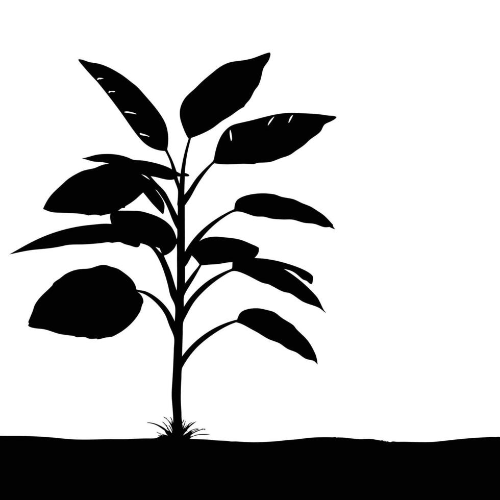 Simple Black And White Silhouette Of A Potted Plant With Large Leaves vector
