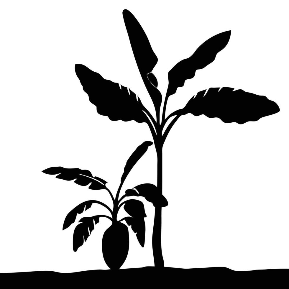 Black Silhouette Of Banana Trees With Young Fruit Illustration vector