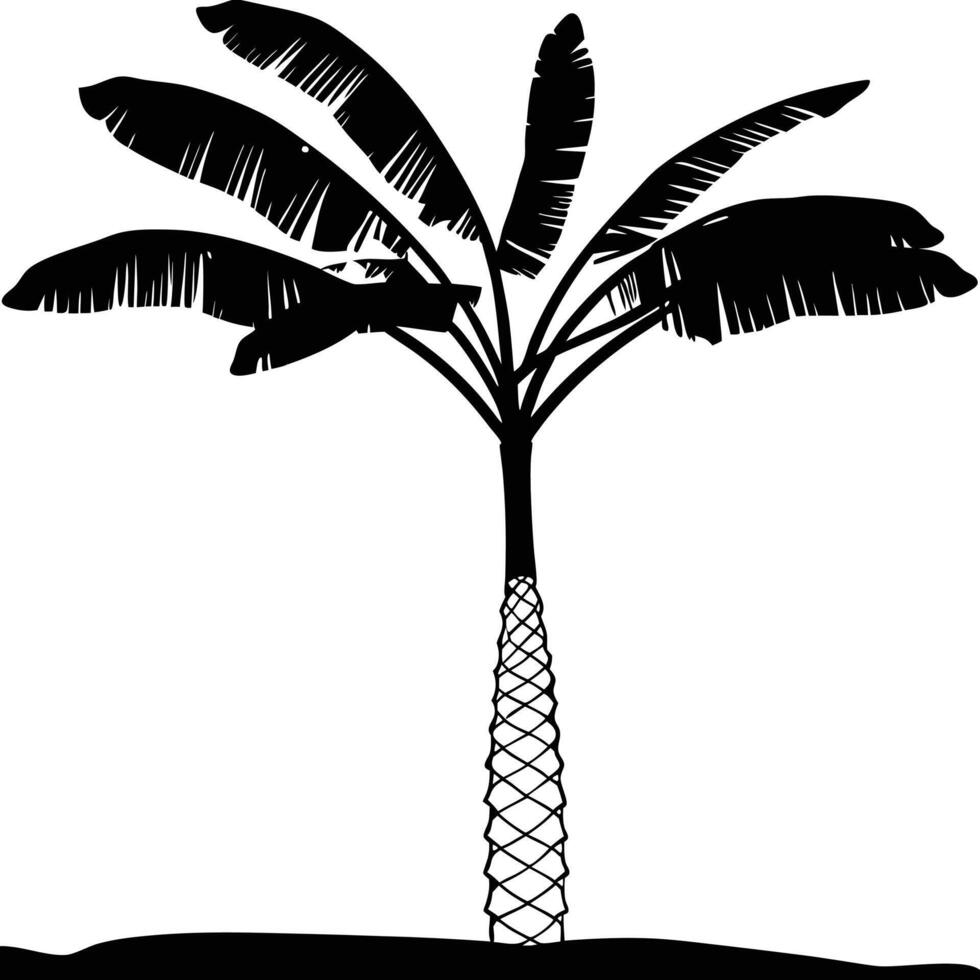 Tropical Banana Tree Silhouette Illustration On White Background Minimalist Design vector