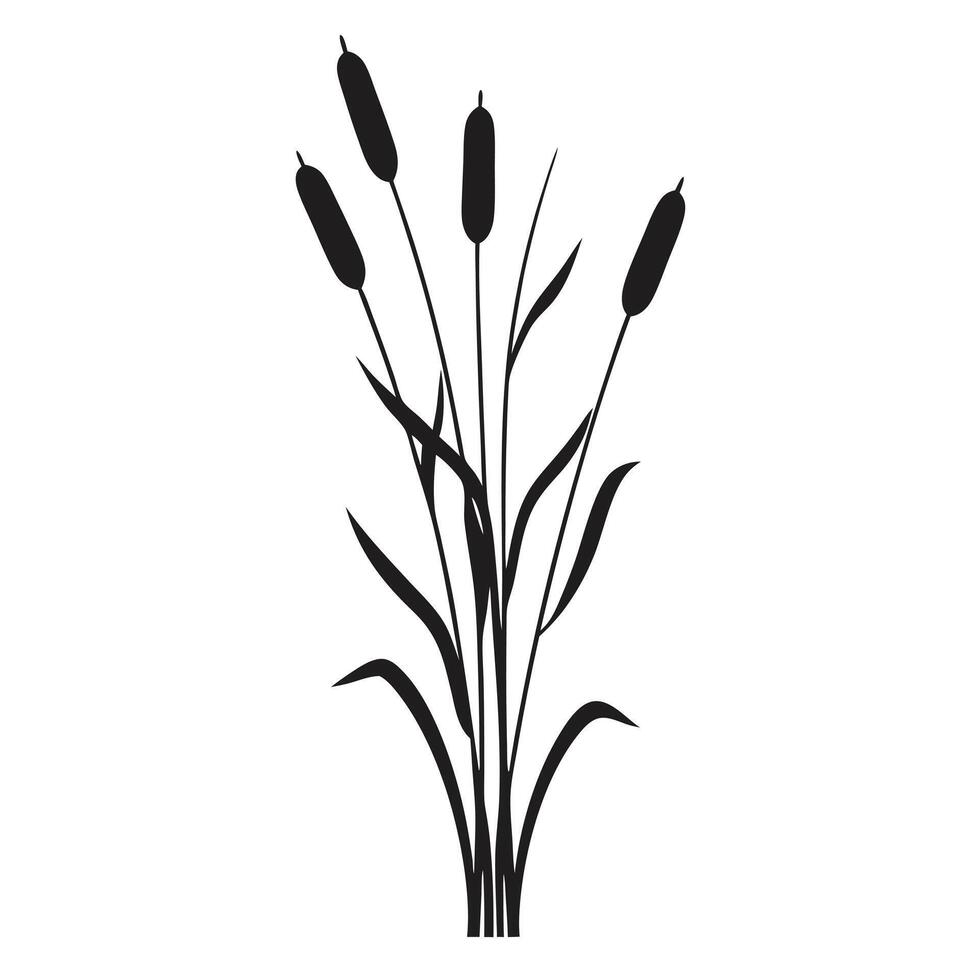 Cattail Plant Silhouette Illustration For Graphic Design And Nature Based Projects vector