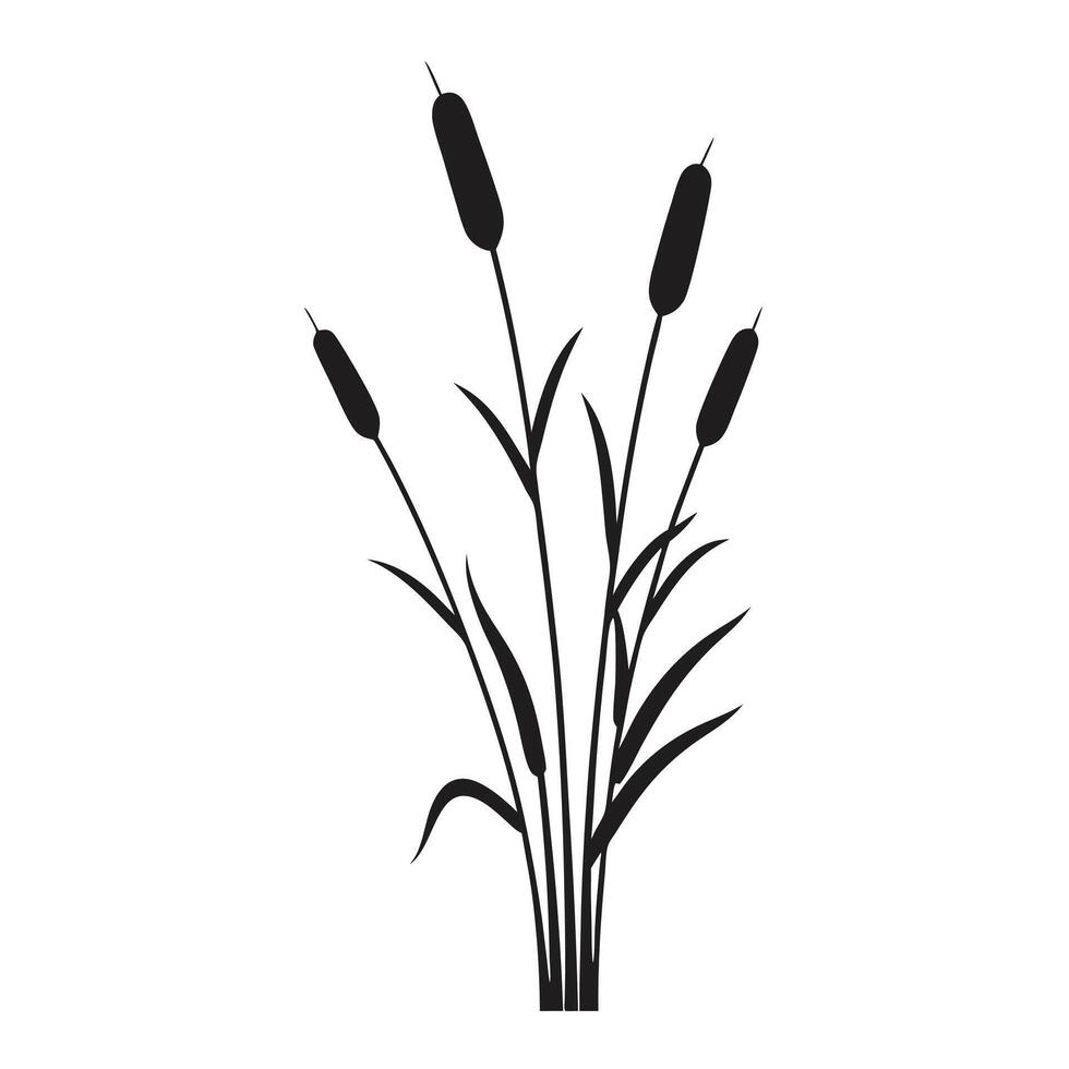 Black Silhouette Of Reed Plant Group On A White Background Minimalist Design vector