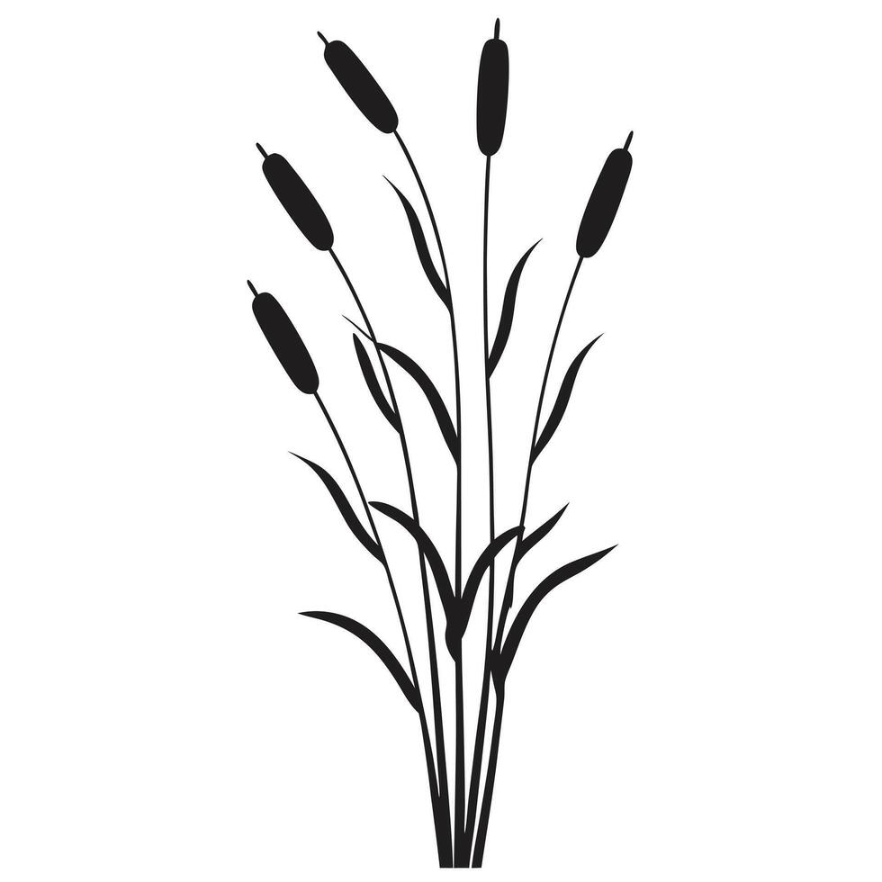 Elegant Cattail Plant Silhouette Illustration For Graphic Design Projects vector
