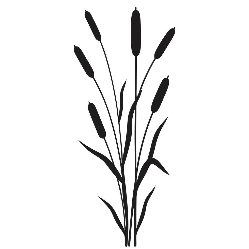 Cattail Silhouette Graphic Illustration Plant Design Element Isolated On White Background vector