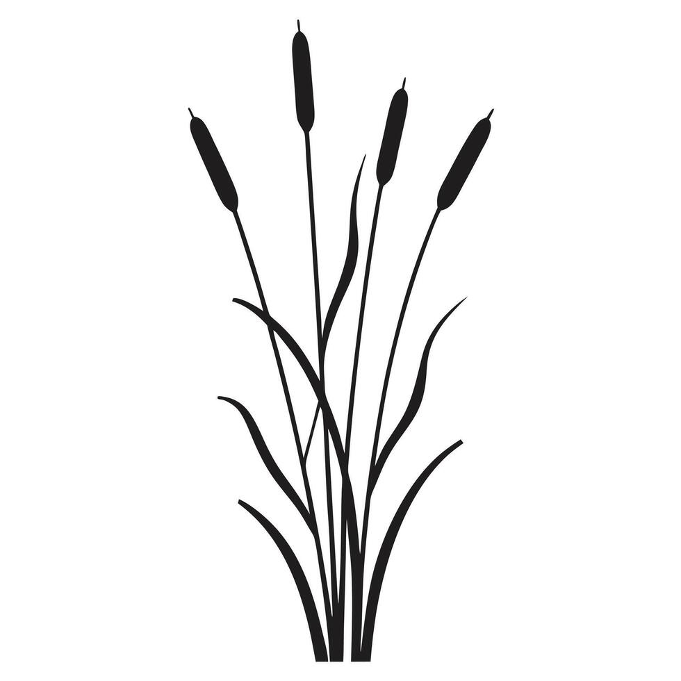 Cattails Plant Silhouette Black And White Graphic Illustration On White Background vector