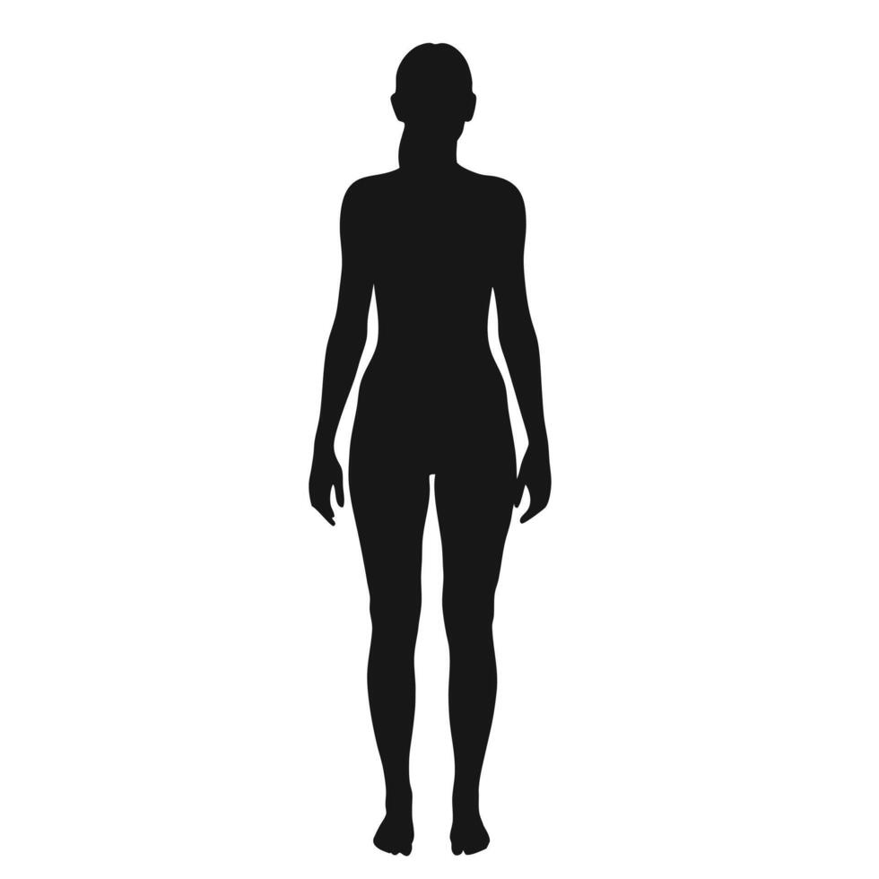 Full Length Female Silhouette Standing Isolated On White Background Illustration vector