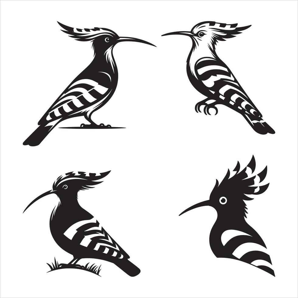 Stylish Black and White Hoopoe Bird Illustrations in Various Poses for Design Projects vector