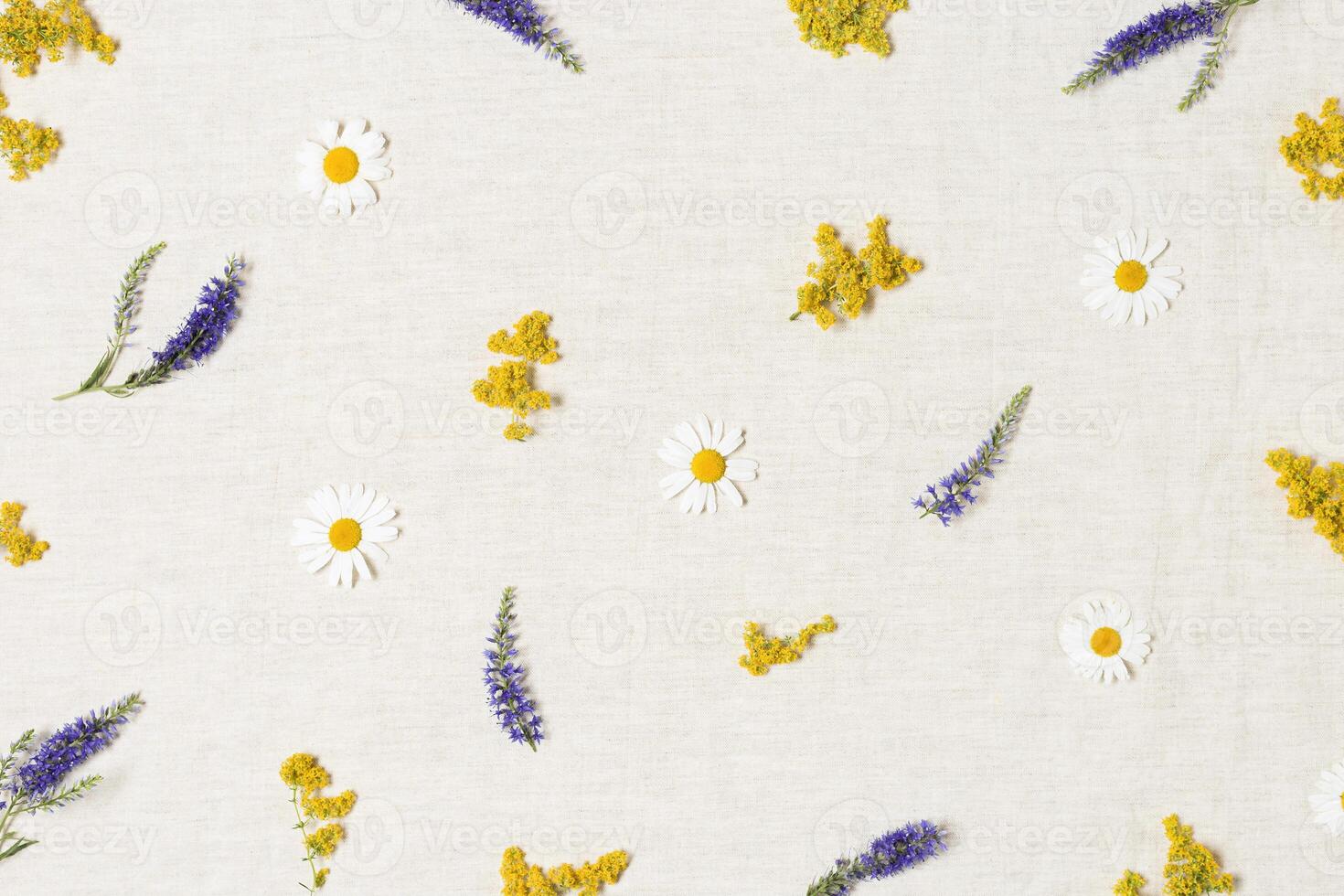 Creative summer floral flat lay from wildflowers, blossoming daisy, veronica and bedstraw flowers on cotton textile background. Summer still life, beautiful blooms, nature design photo