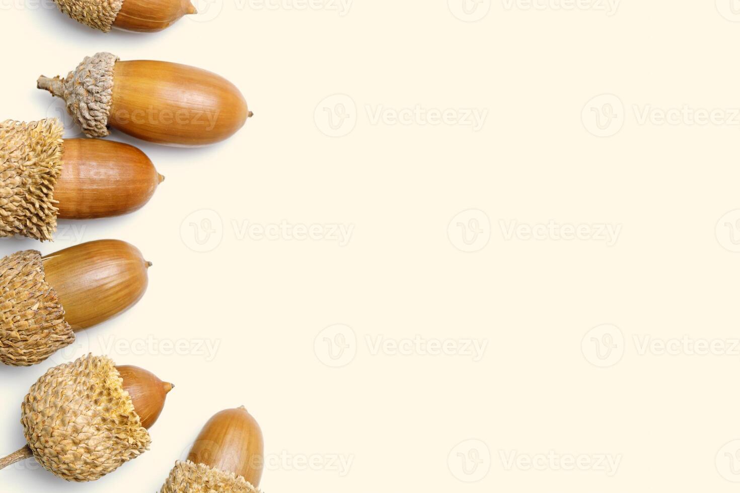 Nature Acorns on beige background. Autumn time concept. Fall harvest season, autumnal natural materials, dried seed oak tree. Trend top view flat lay, aesthetic fall image, neutral decor photo