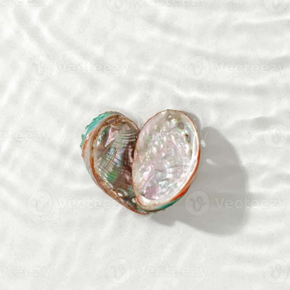 Seashells of abalone as heart, sea and ocean nature love concept, natural texture closeup shell on blue green waves background, pearl shine Haliotis, top view, earthy pastel color copyspace photo