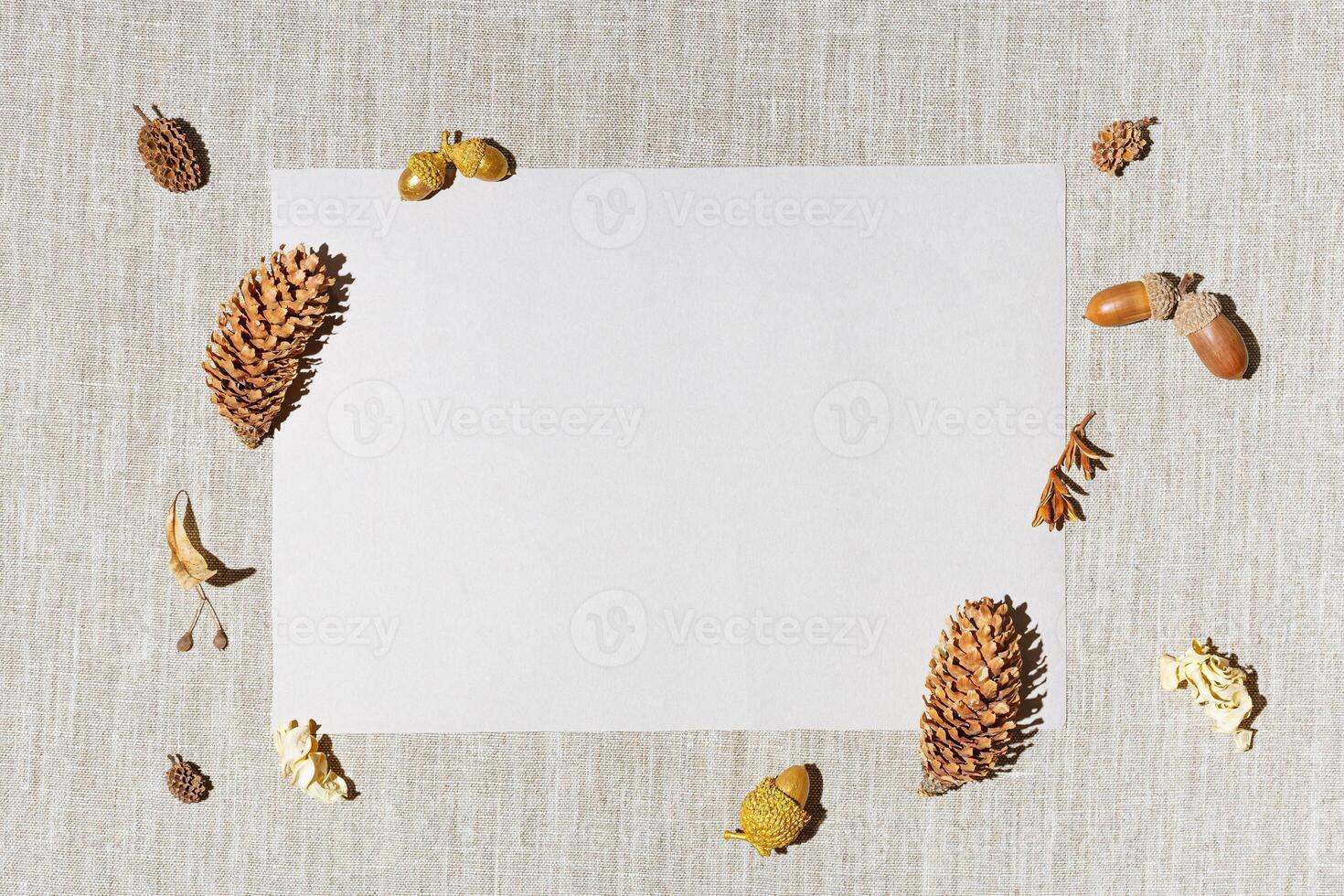 Top view autumn composition. Frame made natural materials, pine cones, acorns, moss, dry plants, berries with paper with empty space, autumnal background. Creative flat lay fall invitation card photo