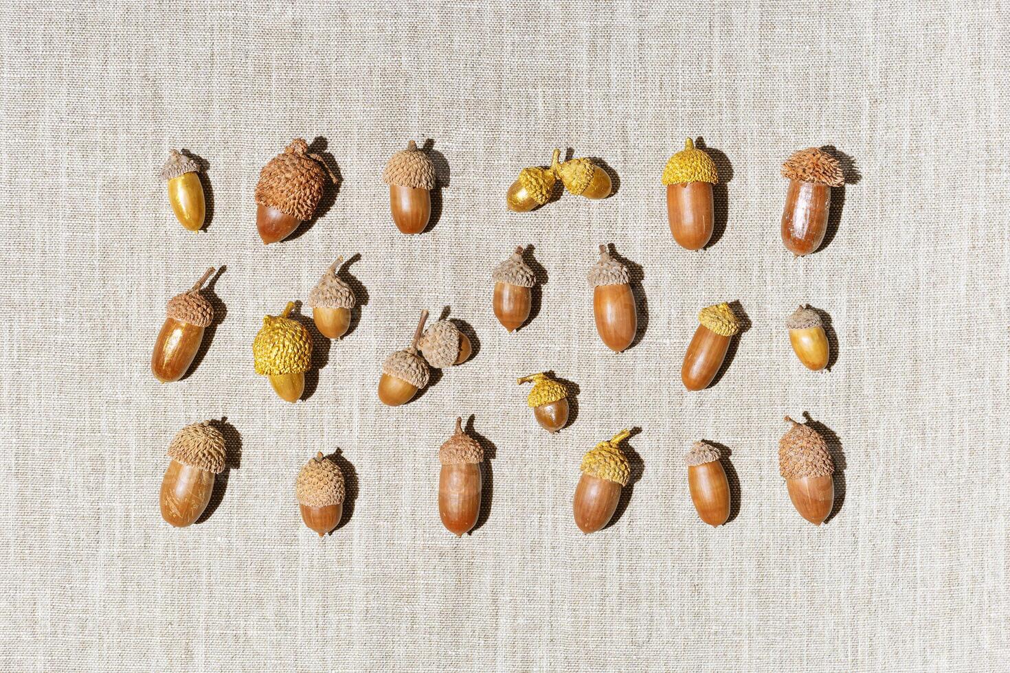 Top view autumn square pattern made natural materials, natural acorns oak tree, dry seeds on textile background. Autumnal trendy flat lay, earth-colored aesthetics fall still life image photo