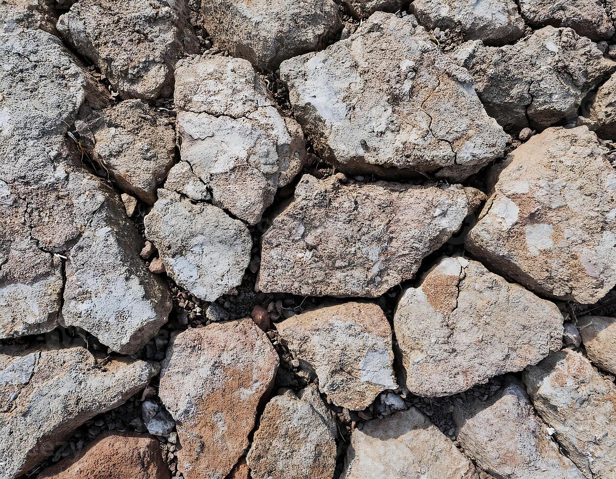 Parched Land with Deep Cracks Due to Heat photo