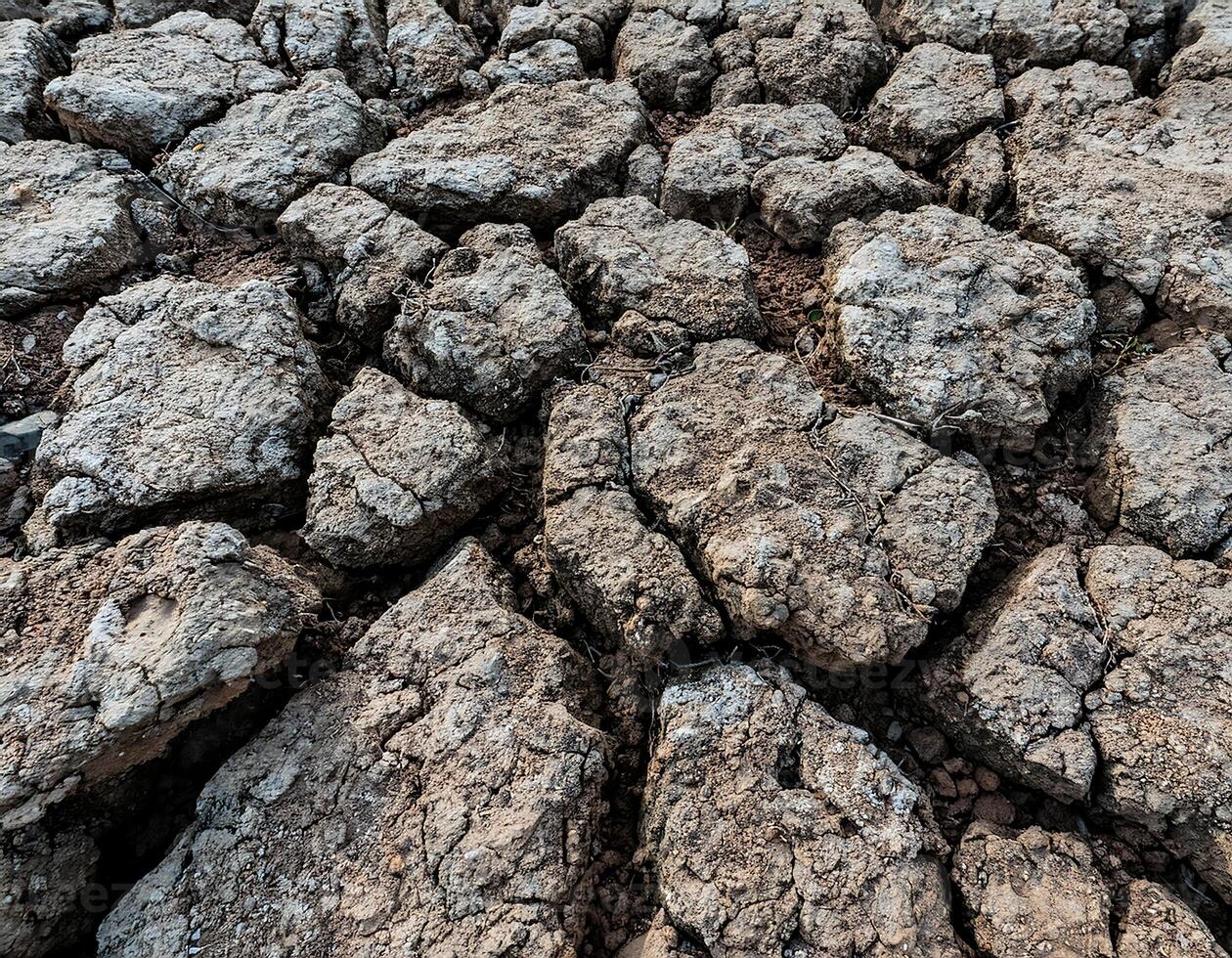 Arid and Barren Soil with Drought Cracks photo