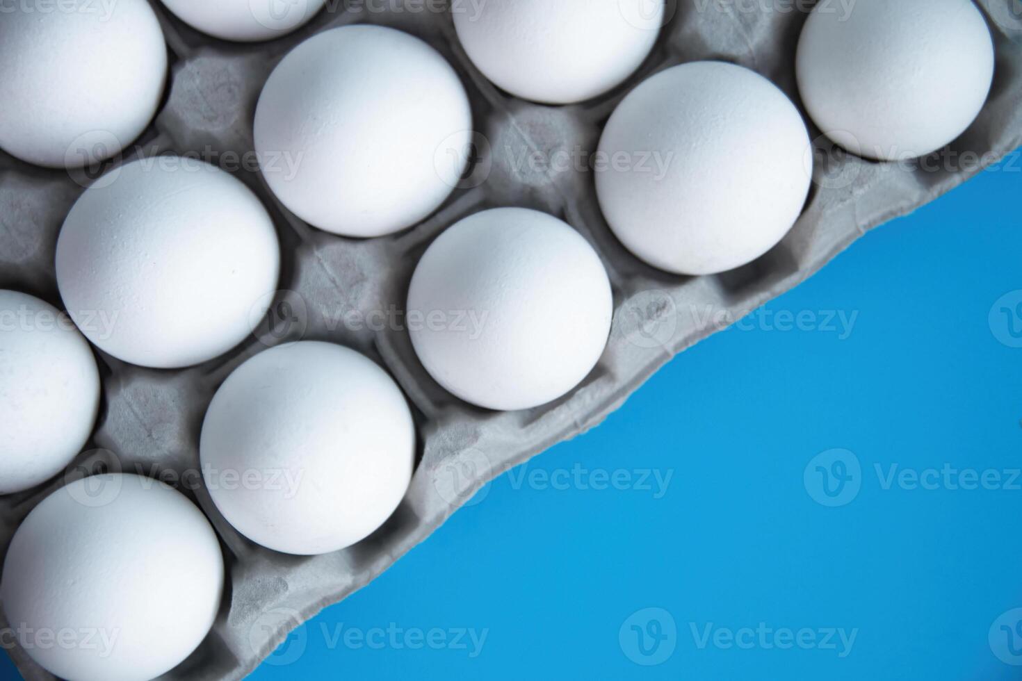 Fresh White Eggs Neatly Arranged in Gray Carton Tray top view, against striking Blue Backdrop. Purity and Freshness grocery, ideal for culinary themes, breakfast concepts, foodrelated organic designs photo
