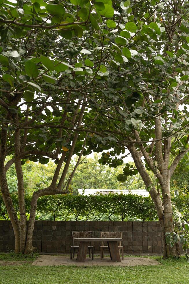 two Empty wooden chairs in the garden at countryside with trees on the background, portrait or vertical format photo