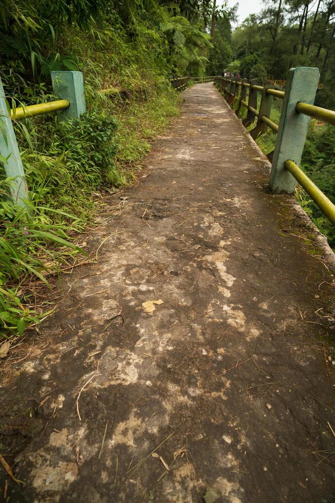 surface of an old bridge in the middle of tropical rain forest in asia, vertical or story format photo