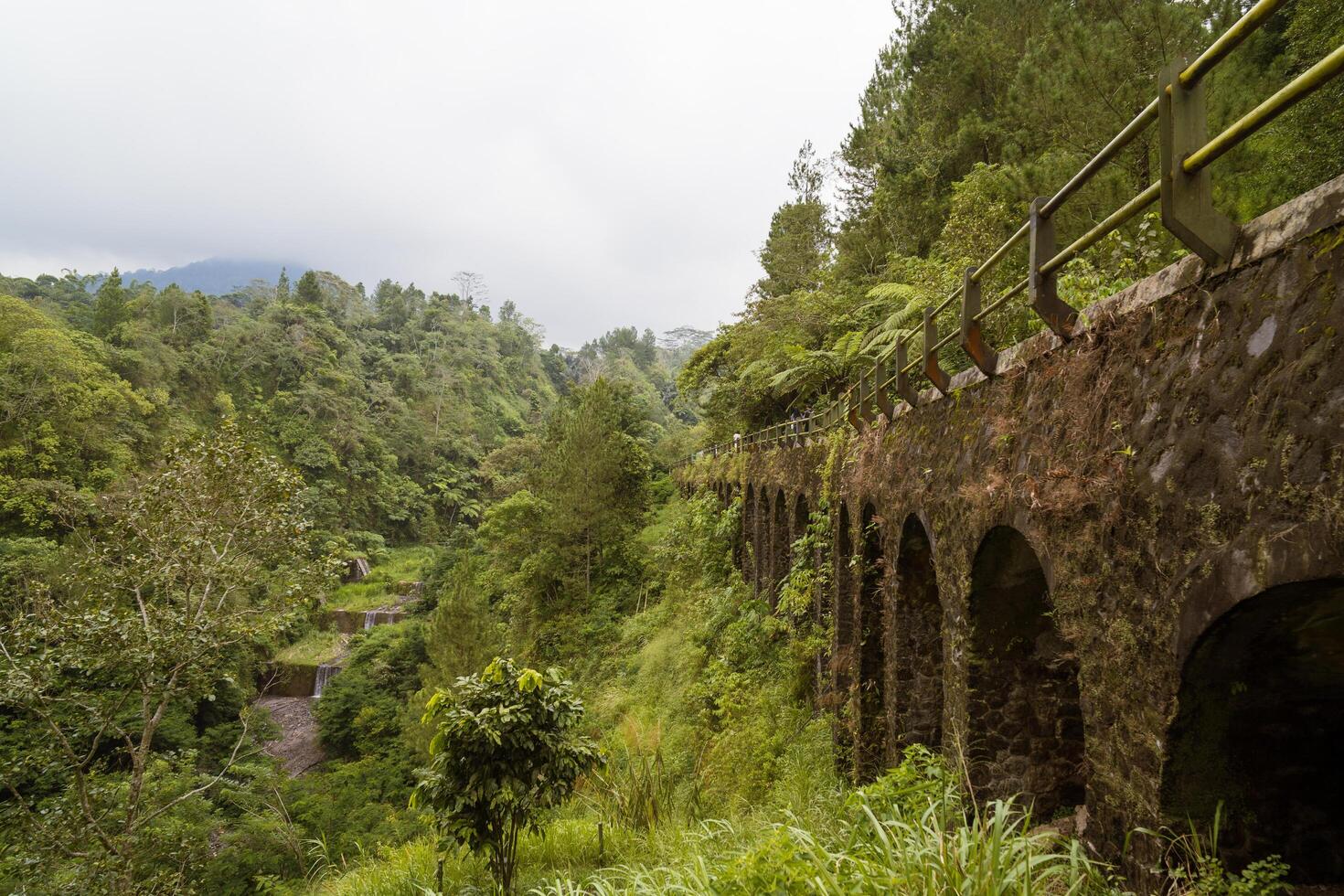 side view of Beautiful Moss Covered old Stone Bridge on the middle of lush green forest photo