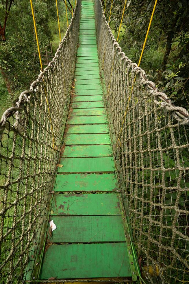 rope bridge on high forest tree , narrow trail path photo