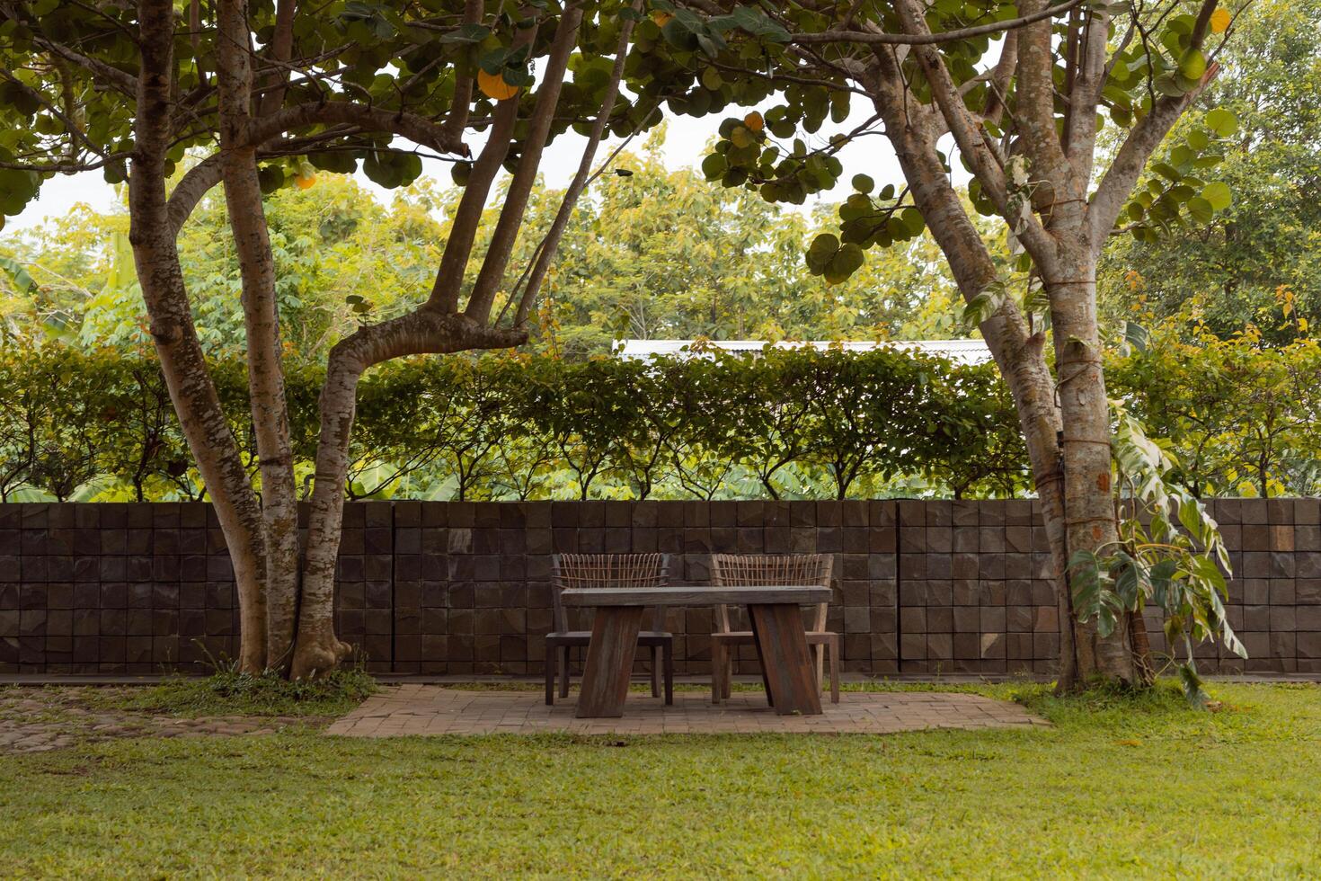 Two outdoor wooden chairs with table on the green lawn in the garden, with two trees on the background photo