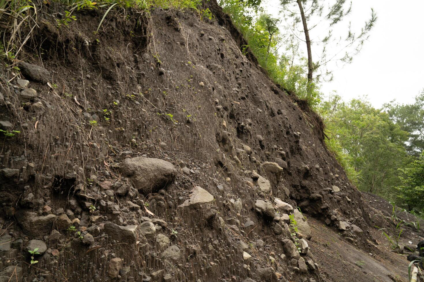 landslide area of the hills on the forest or jungle photo
