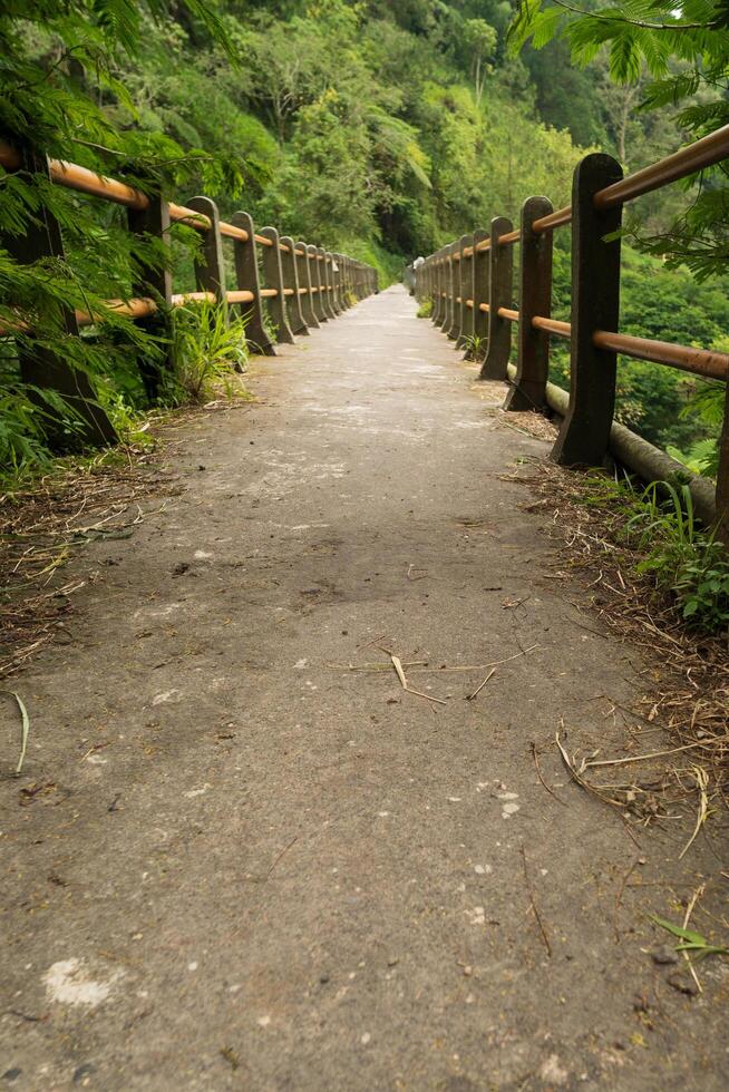 low POV of a trail path on old bridge on the middle of forest photo