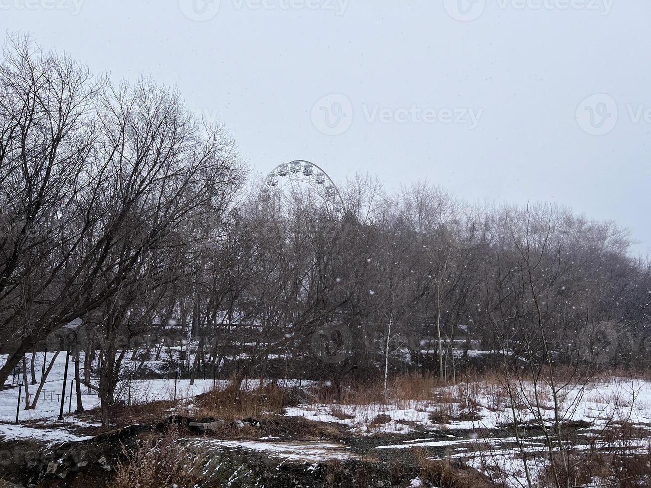 Ferris wheel partially visible through bare winter trees covered in snow. The serene landscape showcases the contrast between the dark branches and white snow on the ground photo
