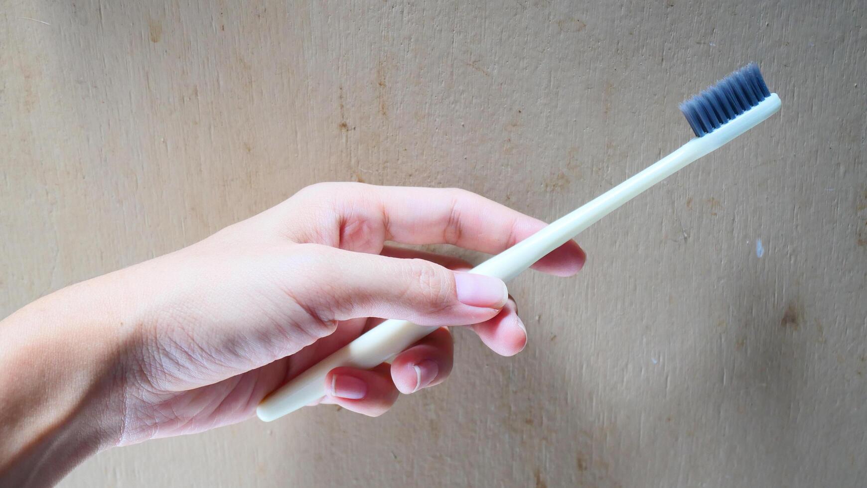 A hand holding a toothbrush photo