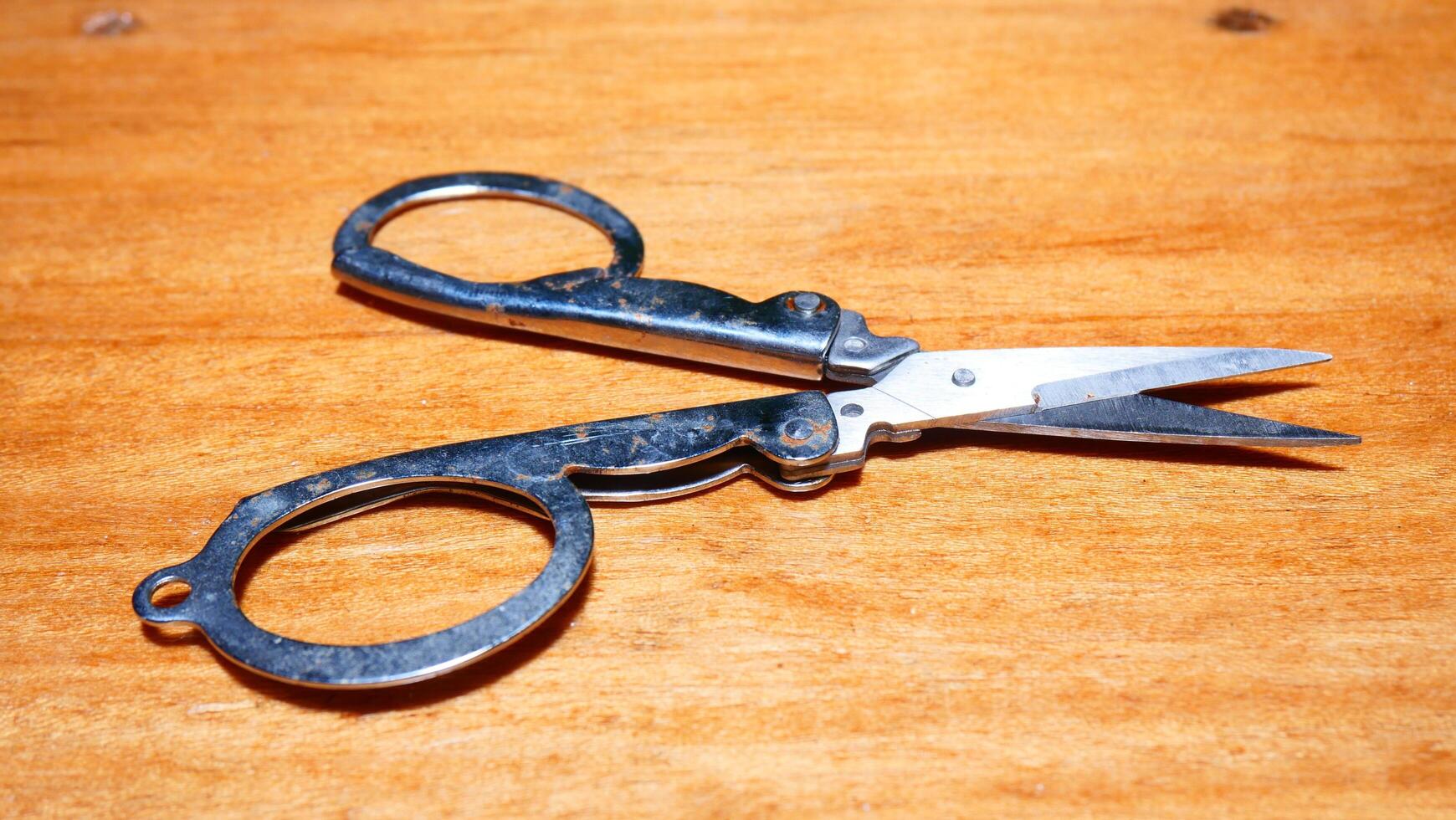 a small stainless steel scissor photo