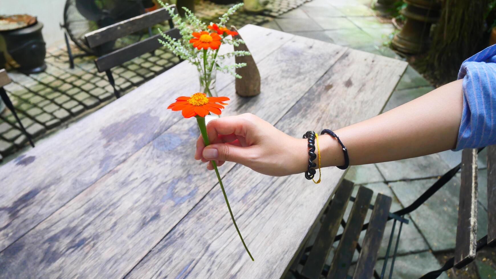 A hand is holding a flower with a cafe atmosphere in the background photo