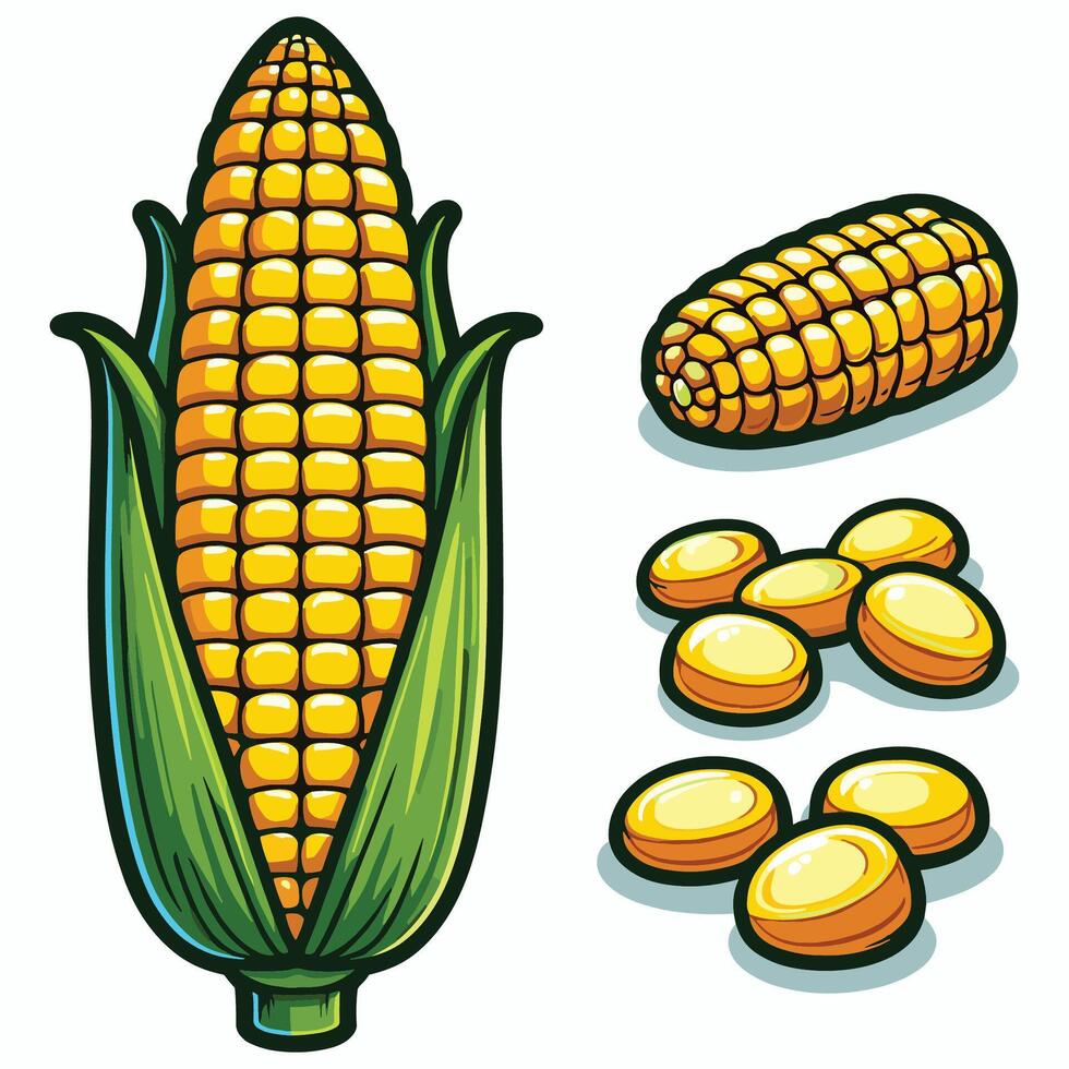 Corn on the cob illustration vector