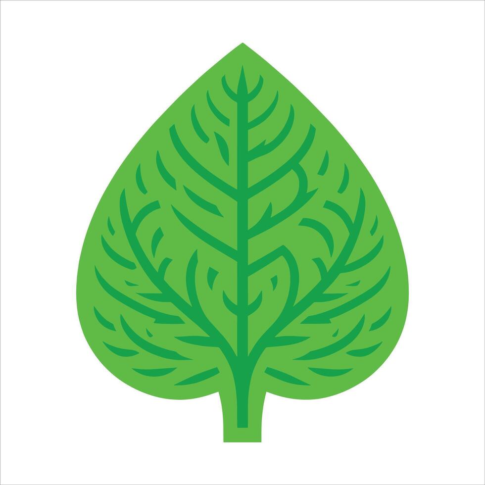 A green leaf icon on a white background vector