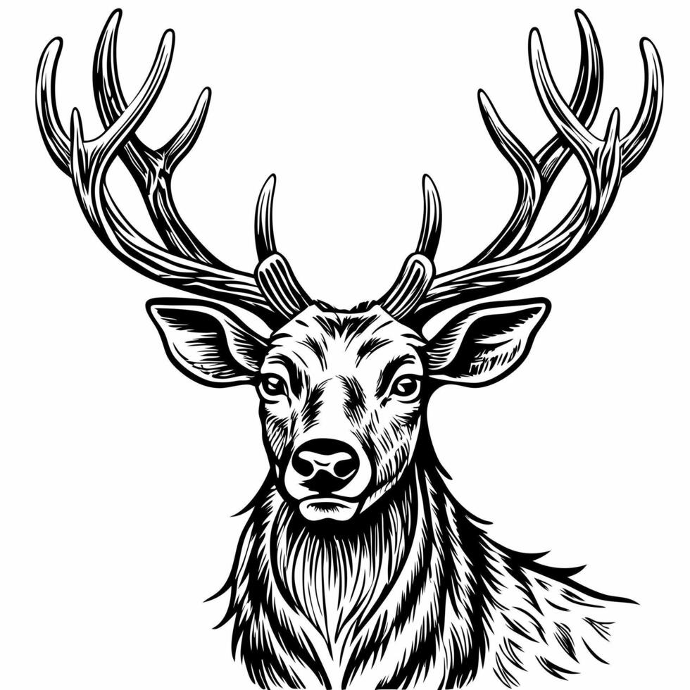Intricate Black and White Deer Illustration with Majestic Antlers vector