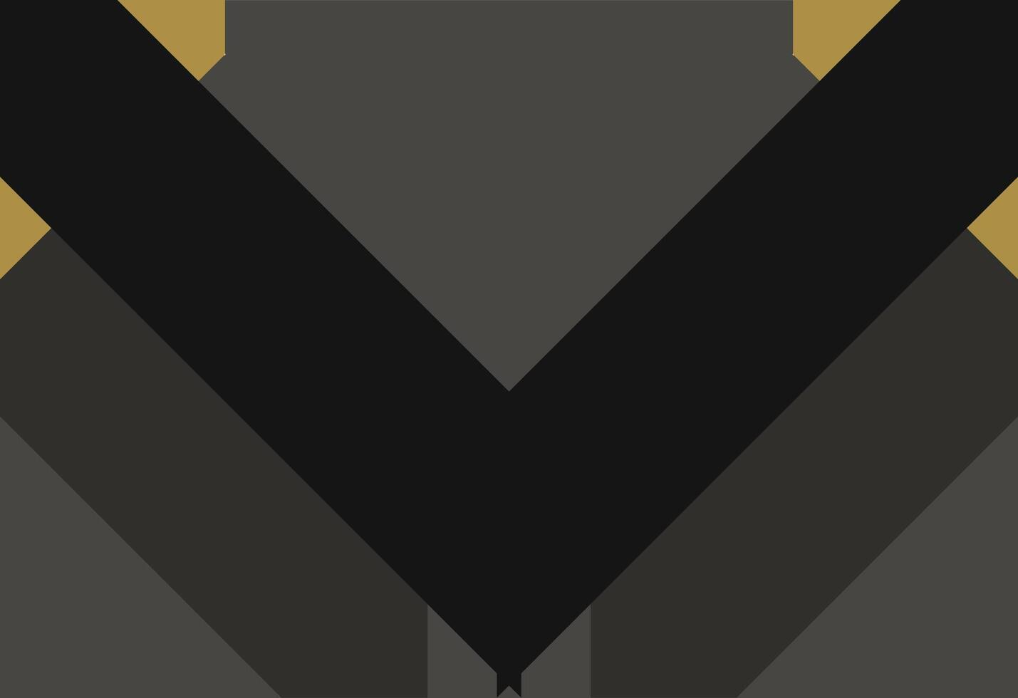 The v logo in black and gold vector
