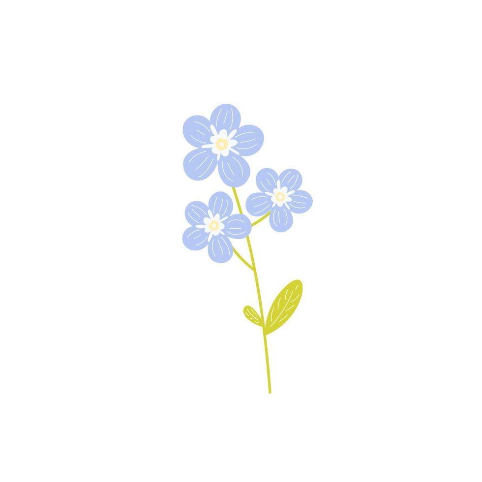 Forget-me-not flowers branch isolated on white background. Beautiful colorful wildflower. Hand drawn illustration in flat cartoon style vector