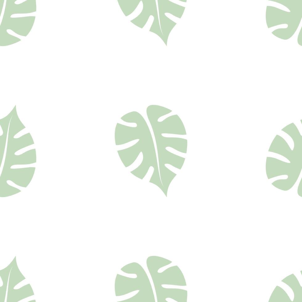 A seamless pattern with green leaves monstera on a white background vector