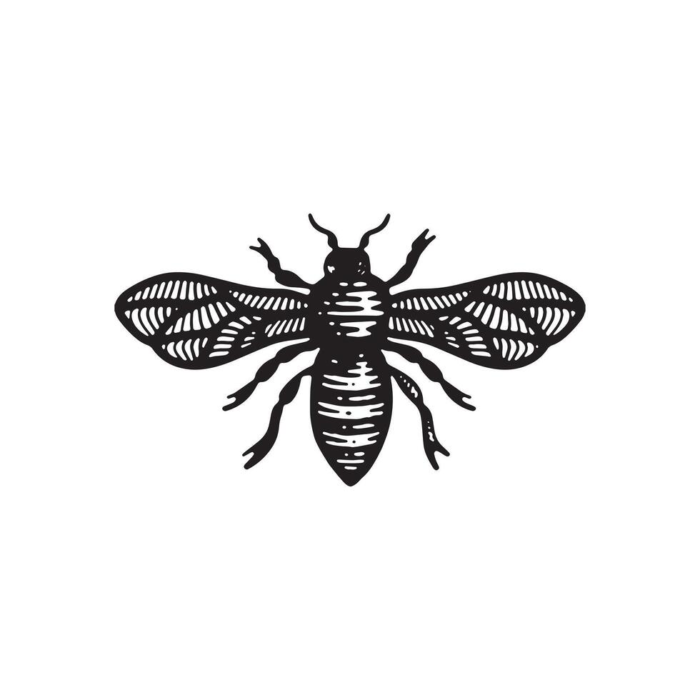 Bee logo in vintage handdrawn style, tattoo idea, woodcut illustration vector